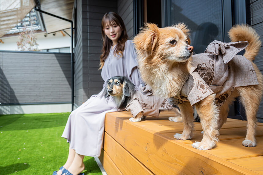 ペット専用旅館で過ごす愛犬との特別な時間
